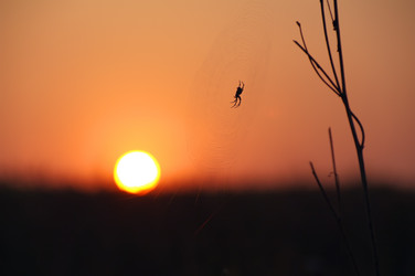 Similar image 708607