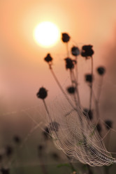 Similar image 708609