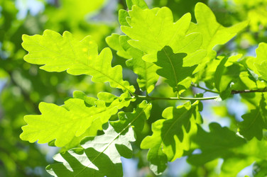 Similar image 708614