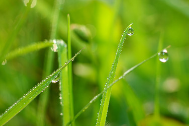 Similar image 708615