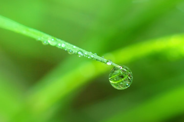 Similar image 708616