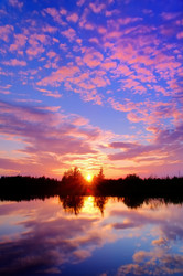 Similar image 708617