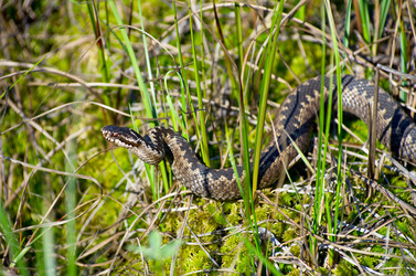 Similar image 708619