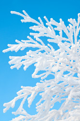 Similar image 708620