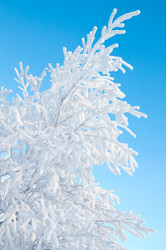 Similar image 708622