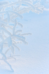 Similar image 708623