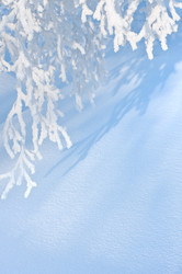 Similar image 708624