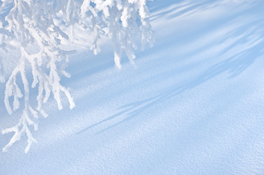 Similar image 708625