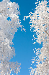 Similar image 708627