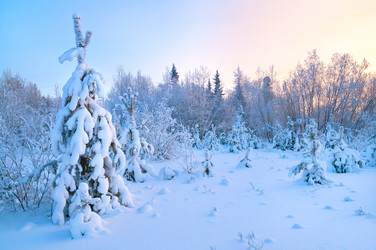 Similar image 708629