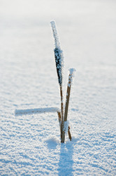 Similar image 708630