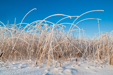 Similar image 708633