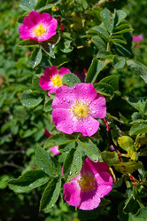 Similar image 708639