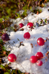 Similar image 708640