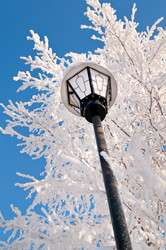 Similar image 708645