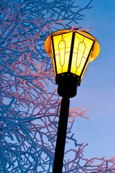 Similar image 708648