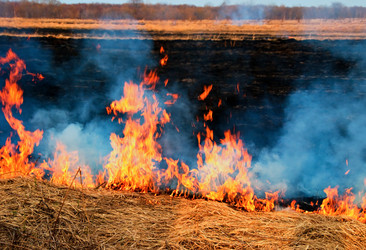 Similar image 708675