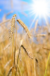 Similar image 708678