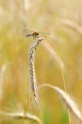 Similar image 708680