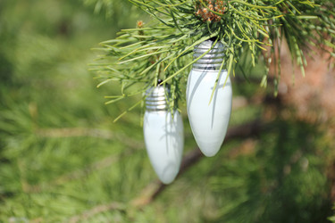 Similar image 708791