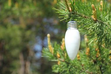 Similar image 708792