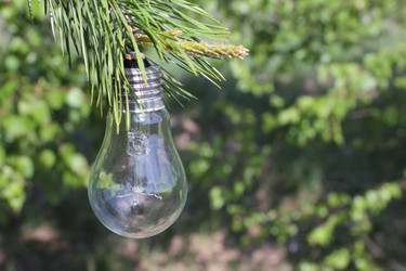 Similar image 708795