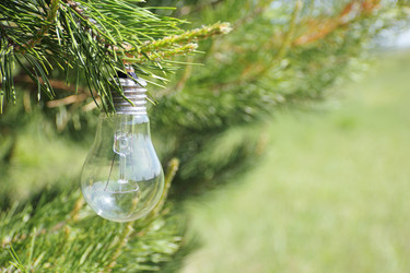 Similar image 708799