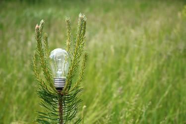 Similar image 708801