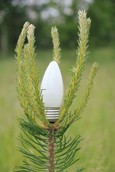 Similar image 708802