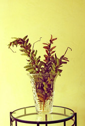 Similar image 708813