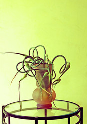 Similar image 708814