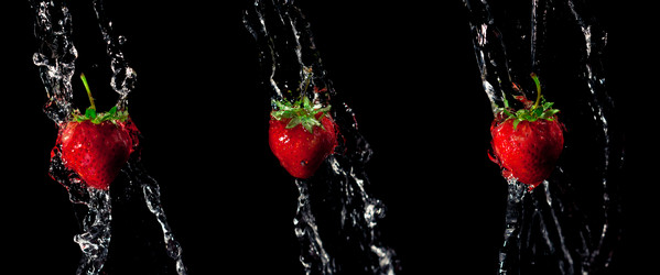 Similar image 708829