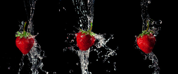 Similar image 708832