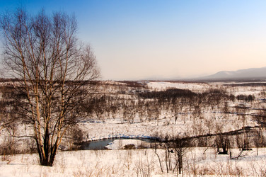 Similar image 708859