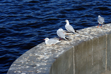 Similar image 708867