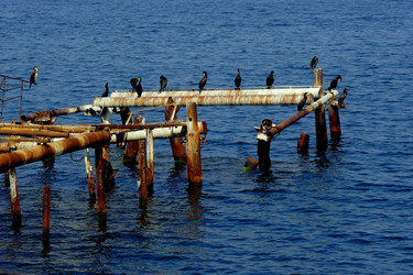 Similar image 708868