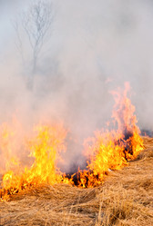 Similar image 708904