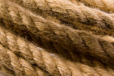 Similar image 708941