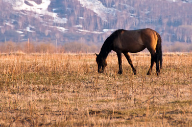 Similar image 708945