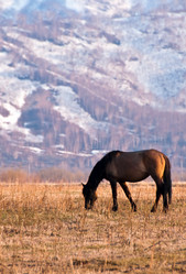 Similar image 708946