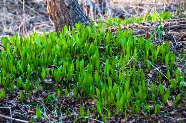 Similar image 708951