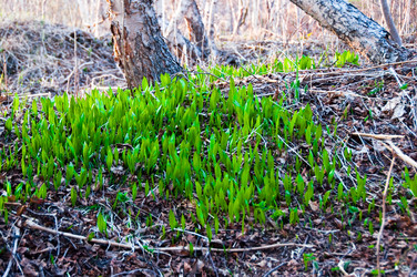 Similar image 708953