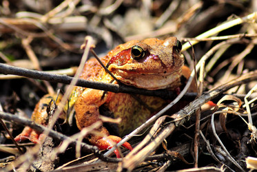 Similar image 708977