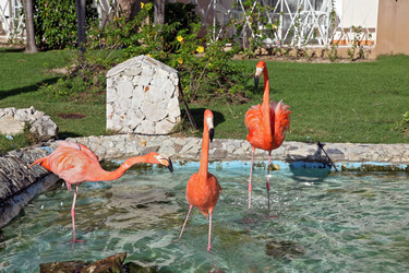 Similar image 708992