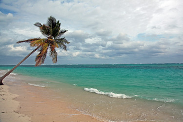 Similar image 708996