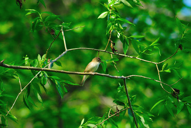 Similar image 709002