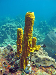 Similar image 709016