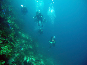 Similar image 709018