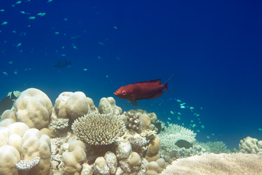 Similar image 709025