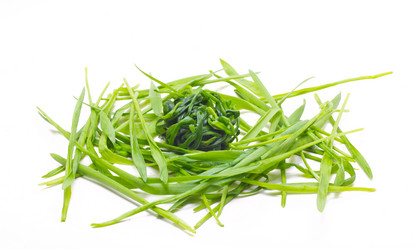 Similar image 709059